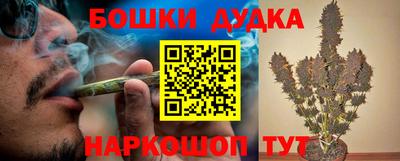 молекула духа Камышлов