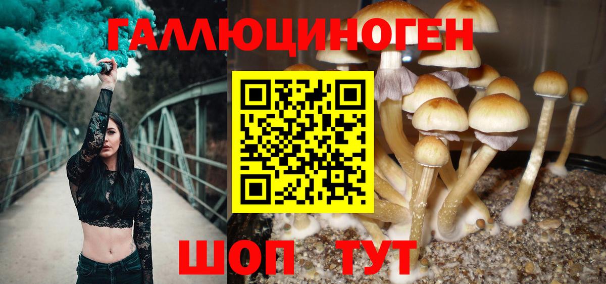 Кстово  Псилоцибиновые грибы Magic Shrooms  Вход с VPN 